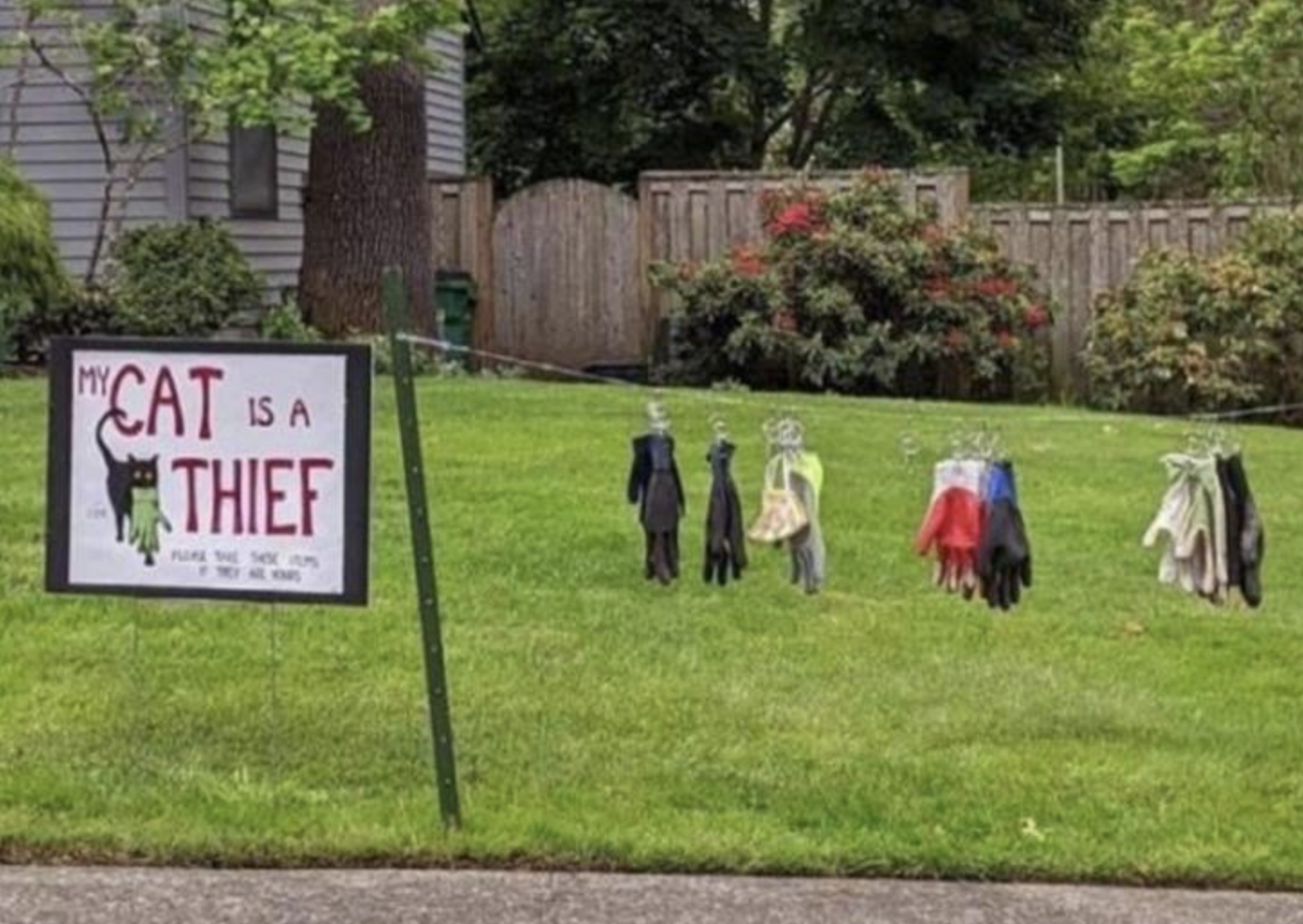 Funny Photos 06-18-2021 #13