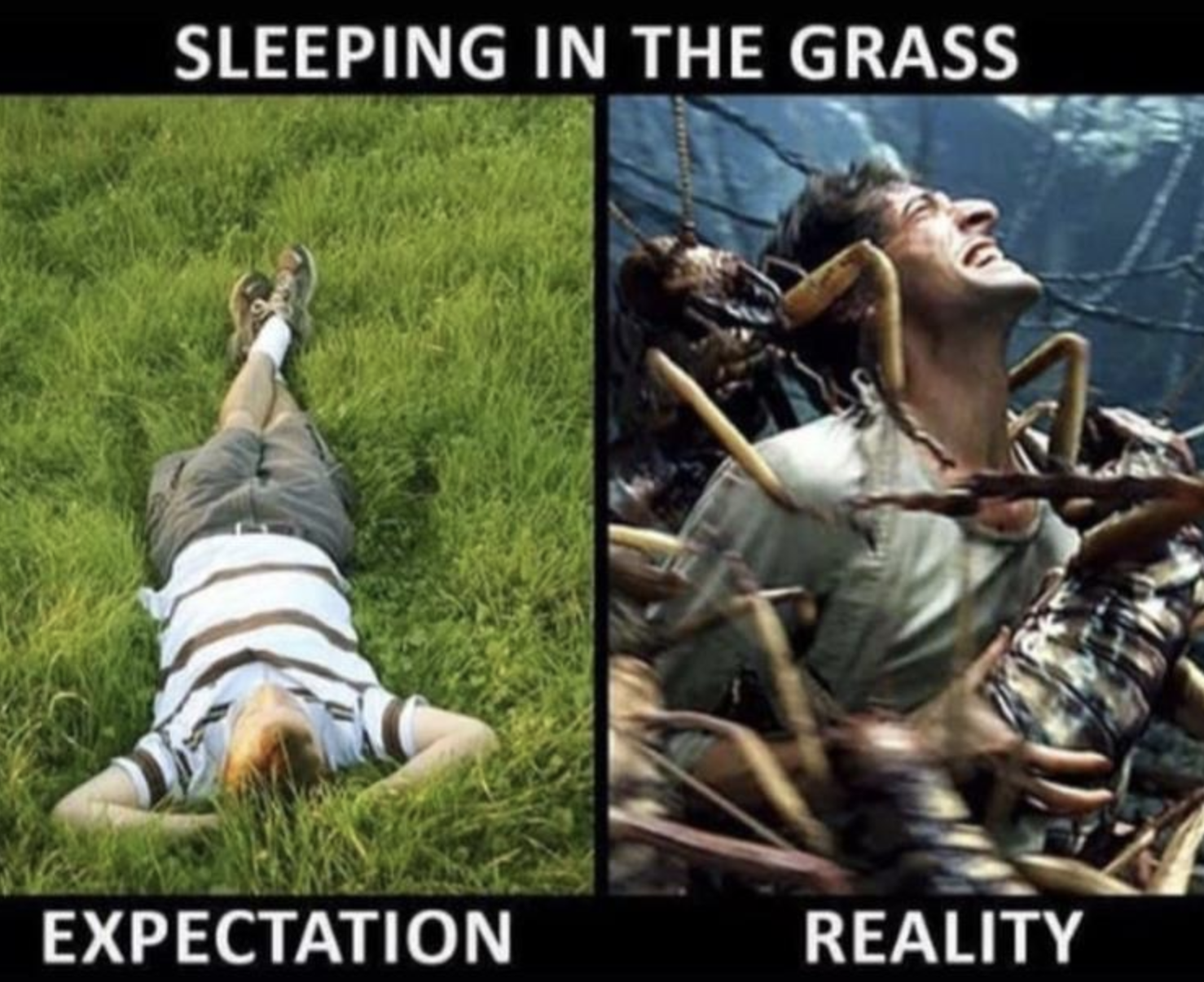 Funny Photos 06-18-2021 #16