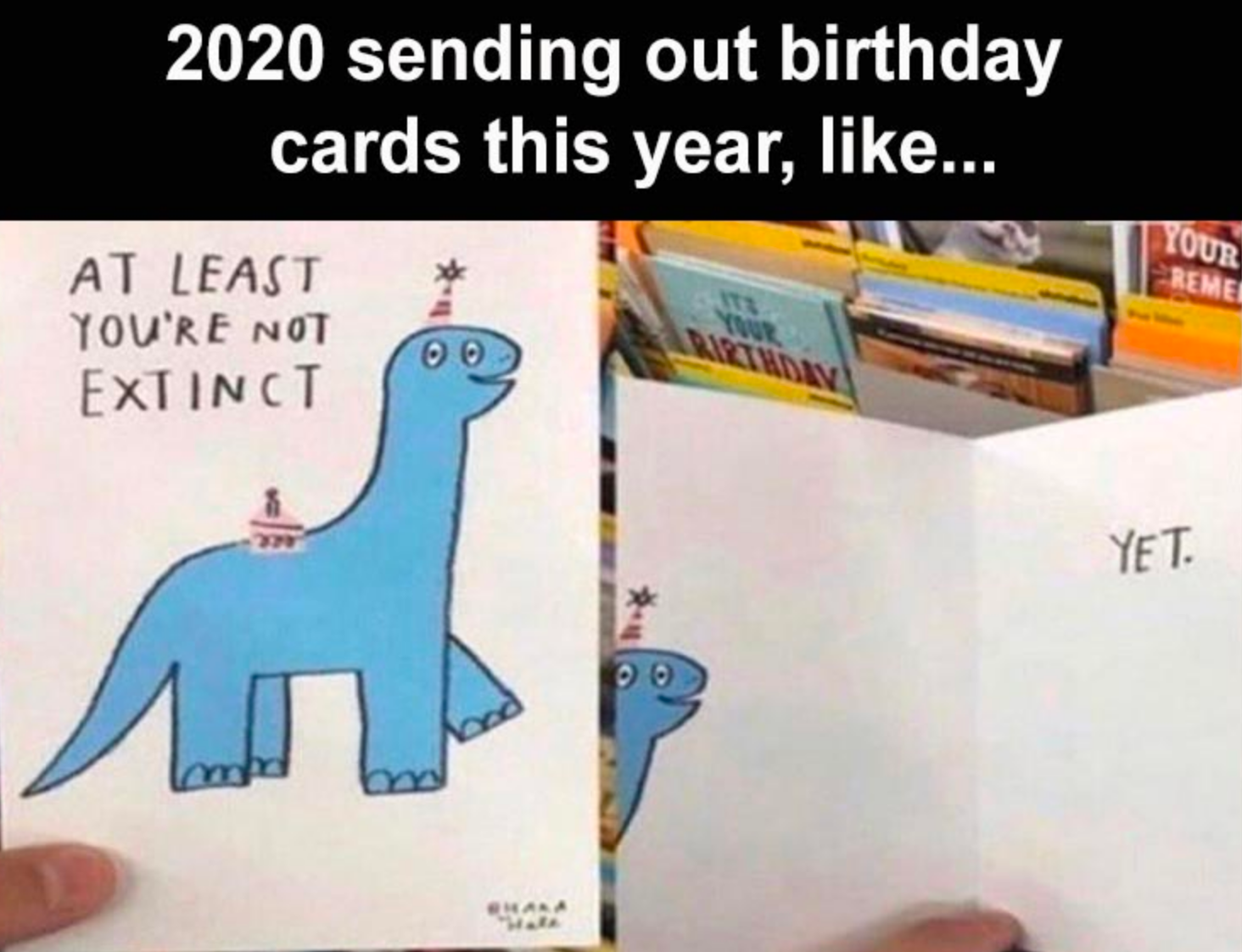 Funny Photos 08-05-2020 #6