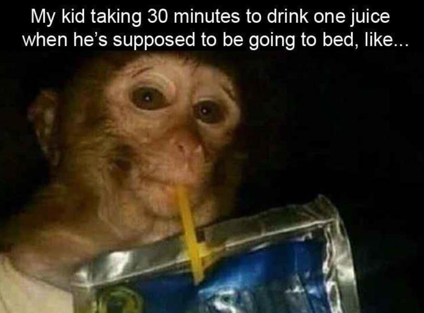 Funny Photos 08-07-2020 #11