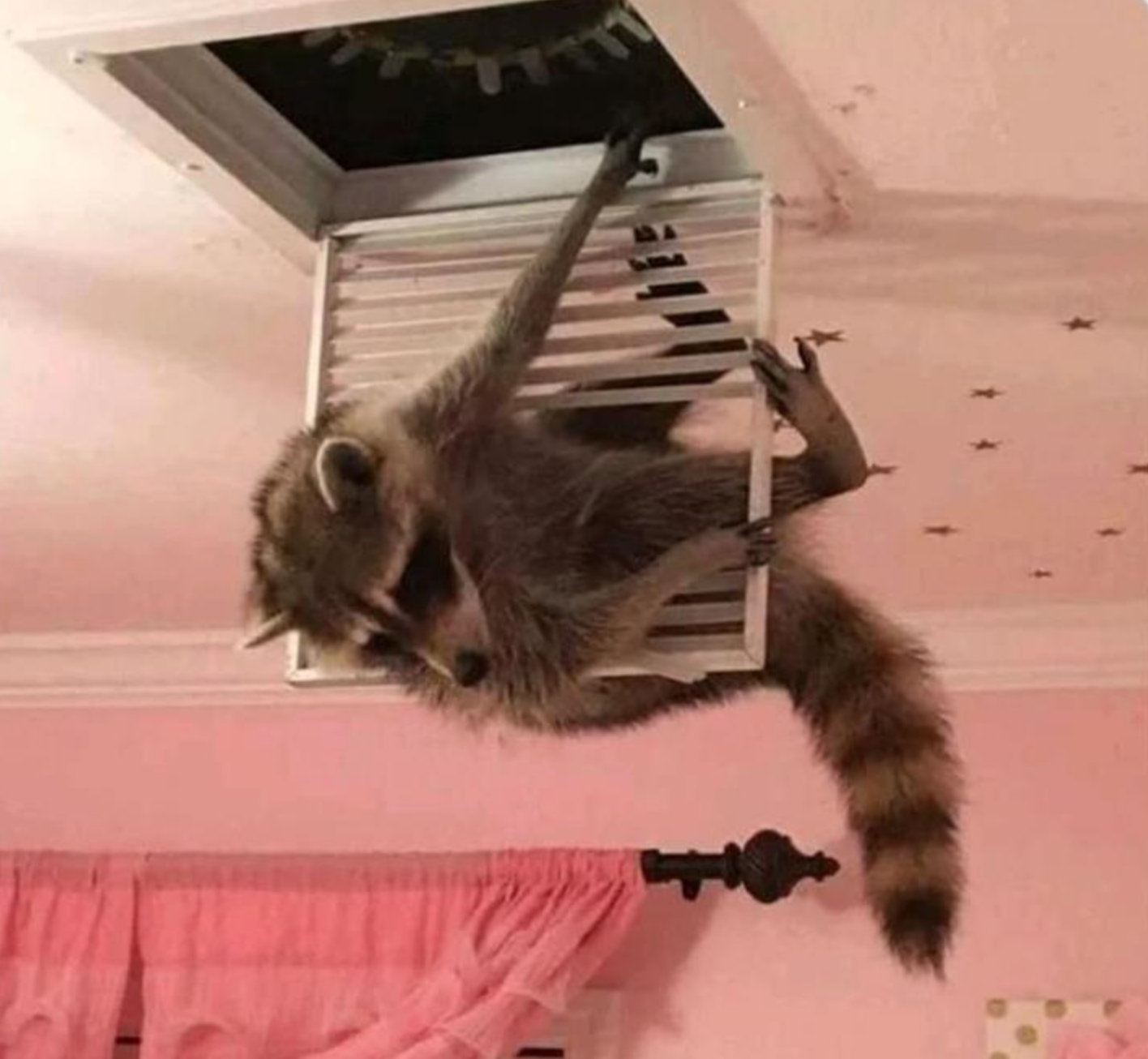 Funny Photos 08-13-2021 #18