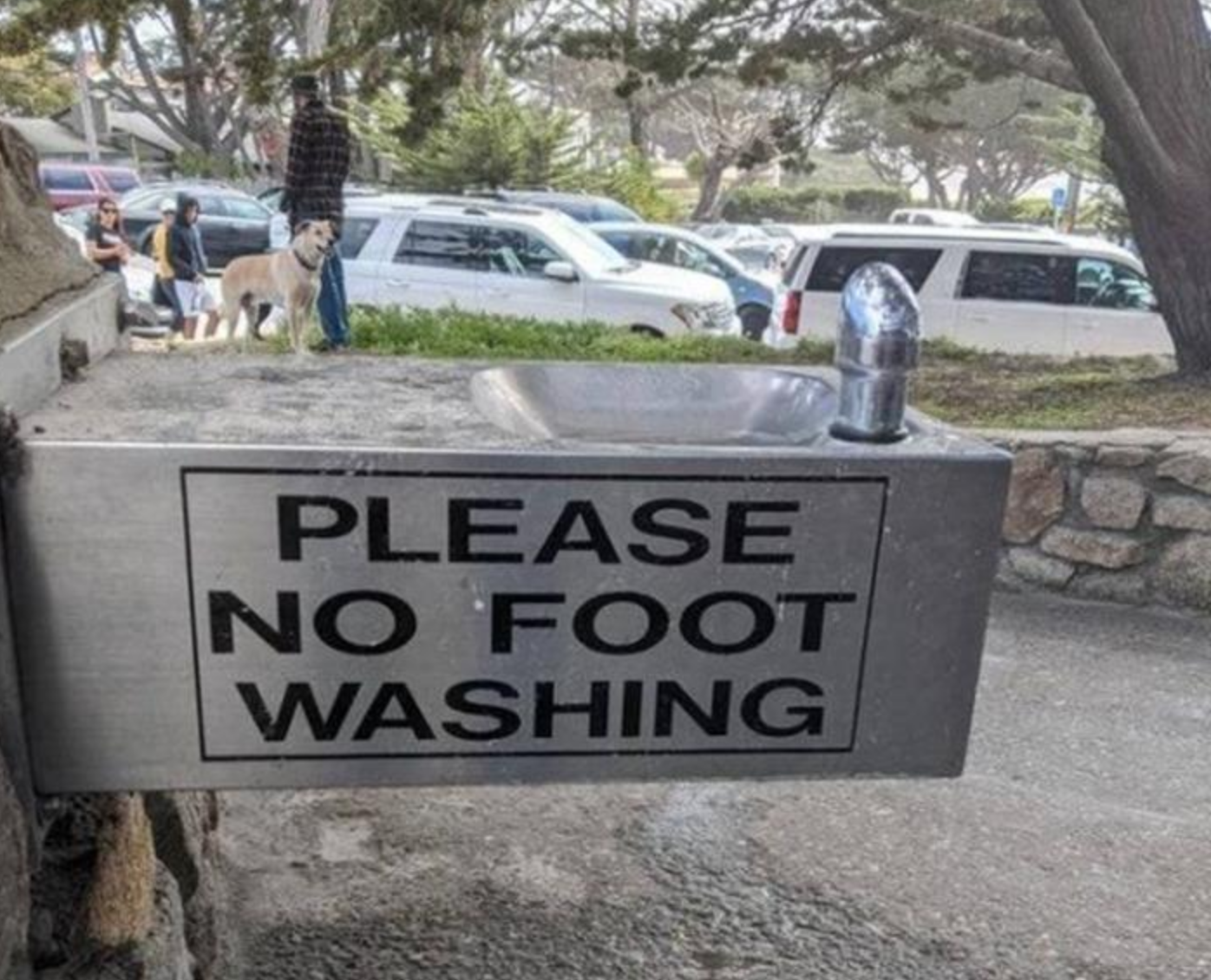 Funny Photos 08-20-2020 #11