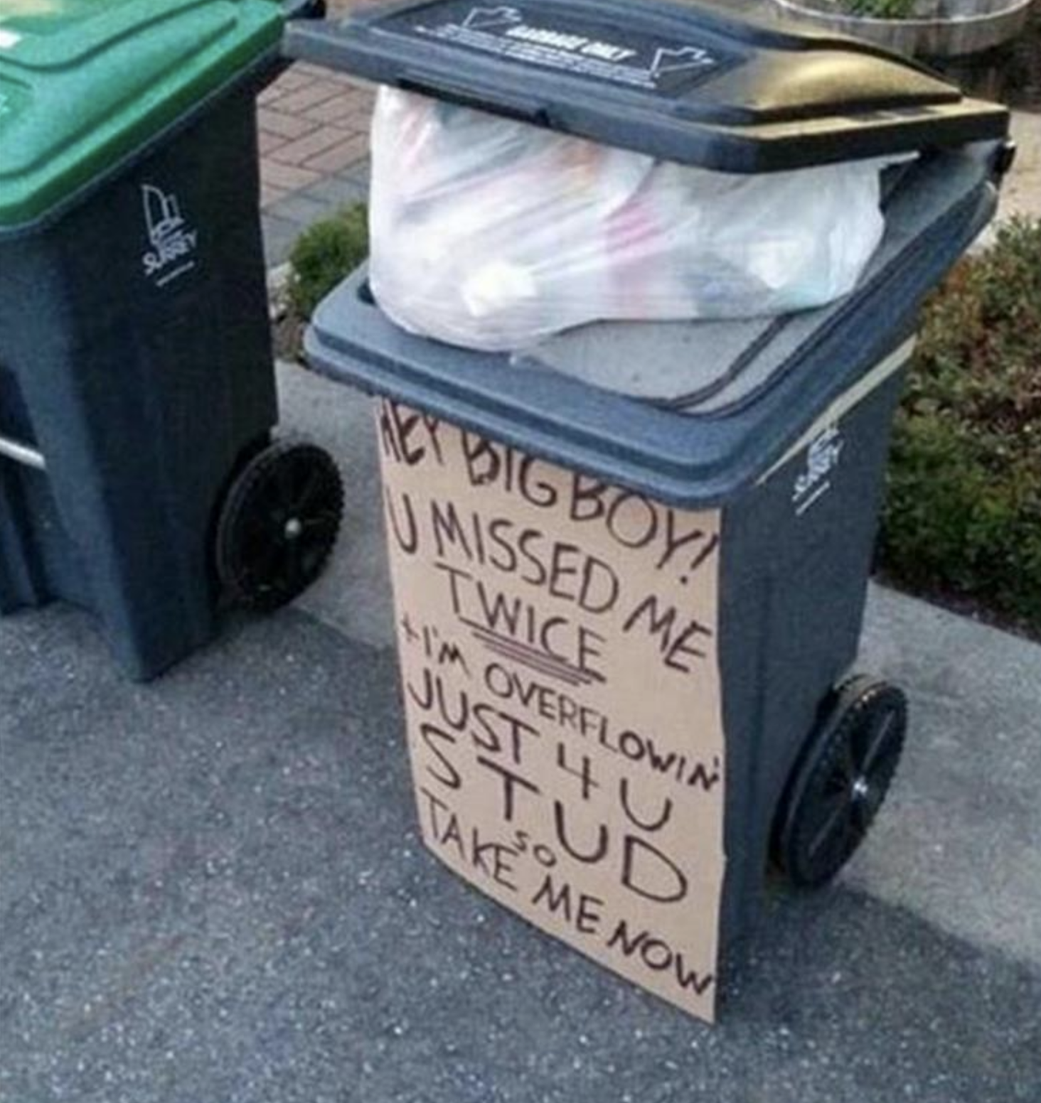 Funny Photos 08-26-2020 #10