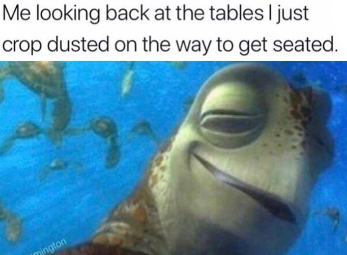 Funny Photos 09-04-2020 #17