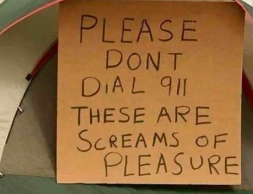 Funny Photos 10-11-2019 #5