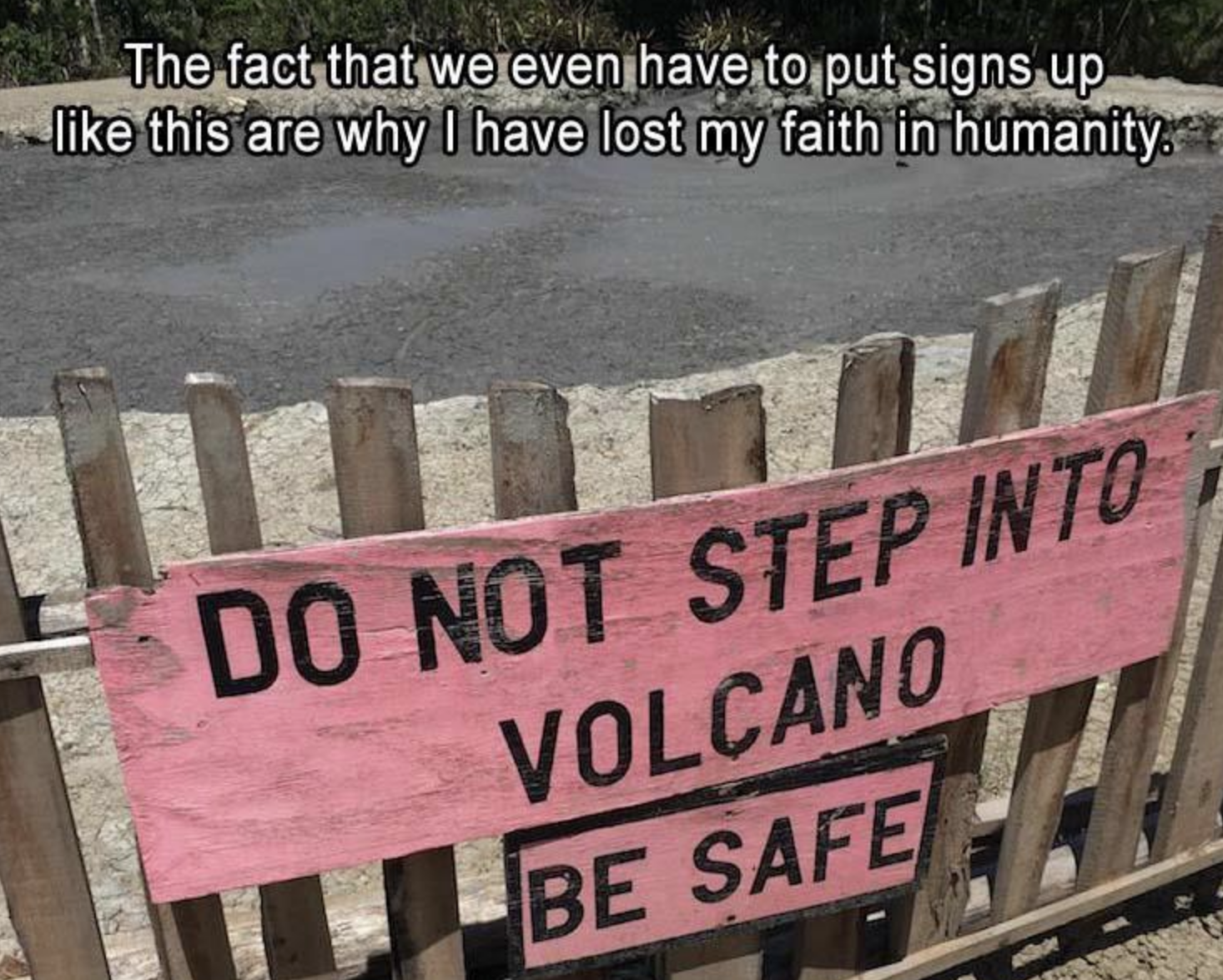 Funny Photos 10-13-2020 #3