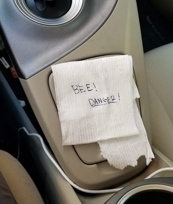 Funny Photos 10-16-2019 #11