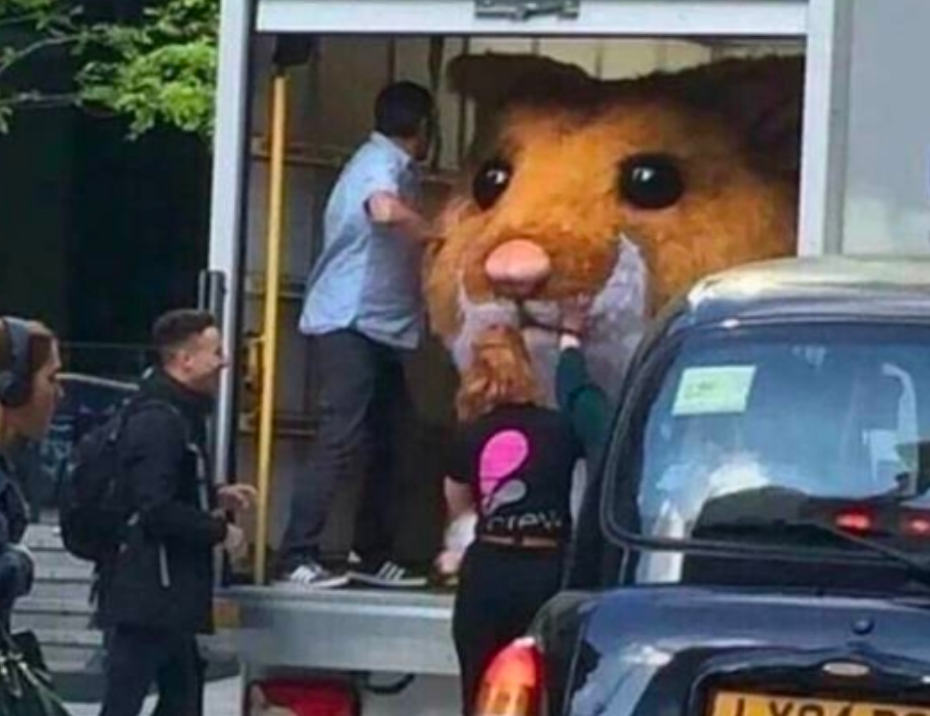 Funny Photos 10-18-2019 #11