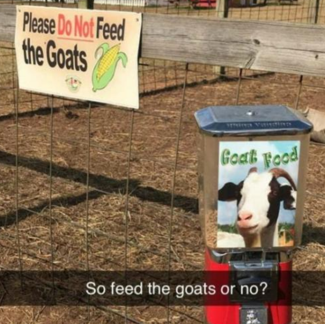 Funny Photos 10-26-2020 #2
