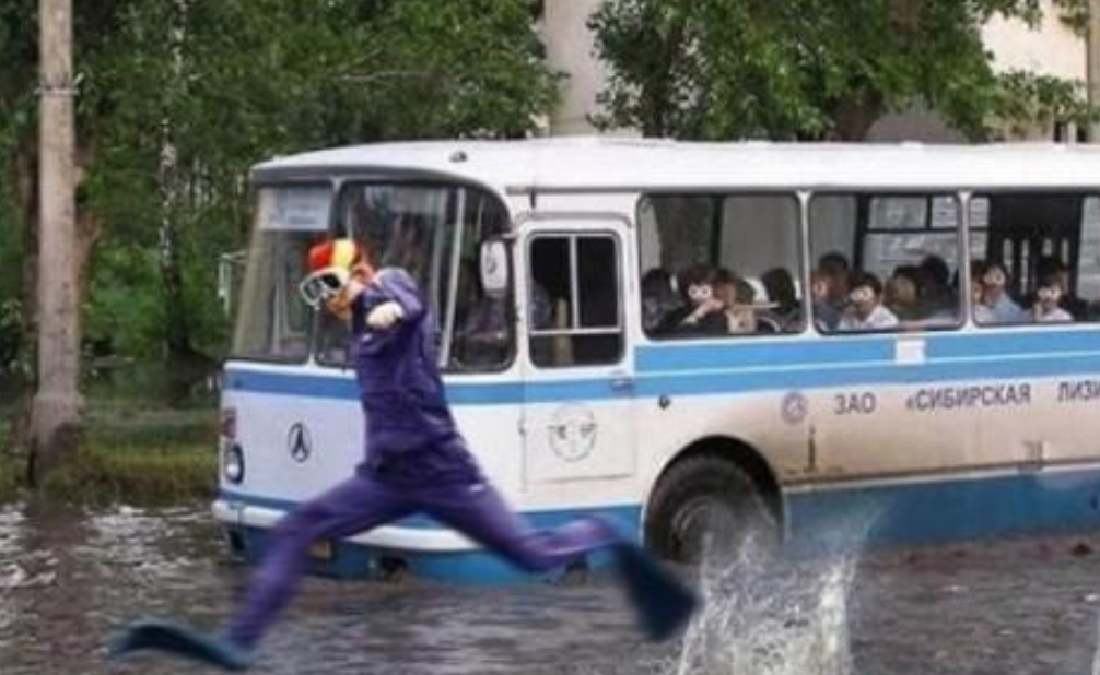 Funny Photos 11-10-2020 #2