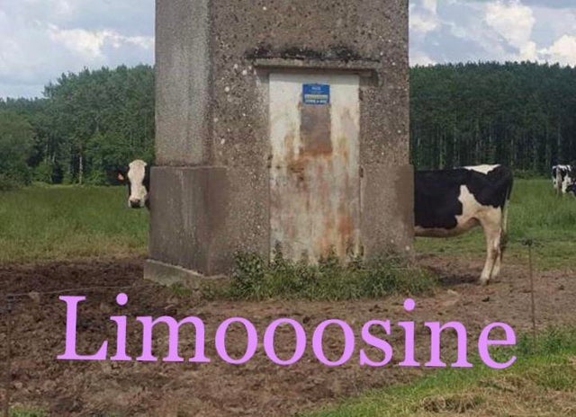 Funny Photos 11-12-2019 #1