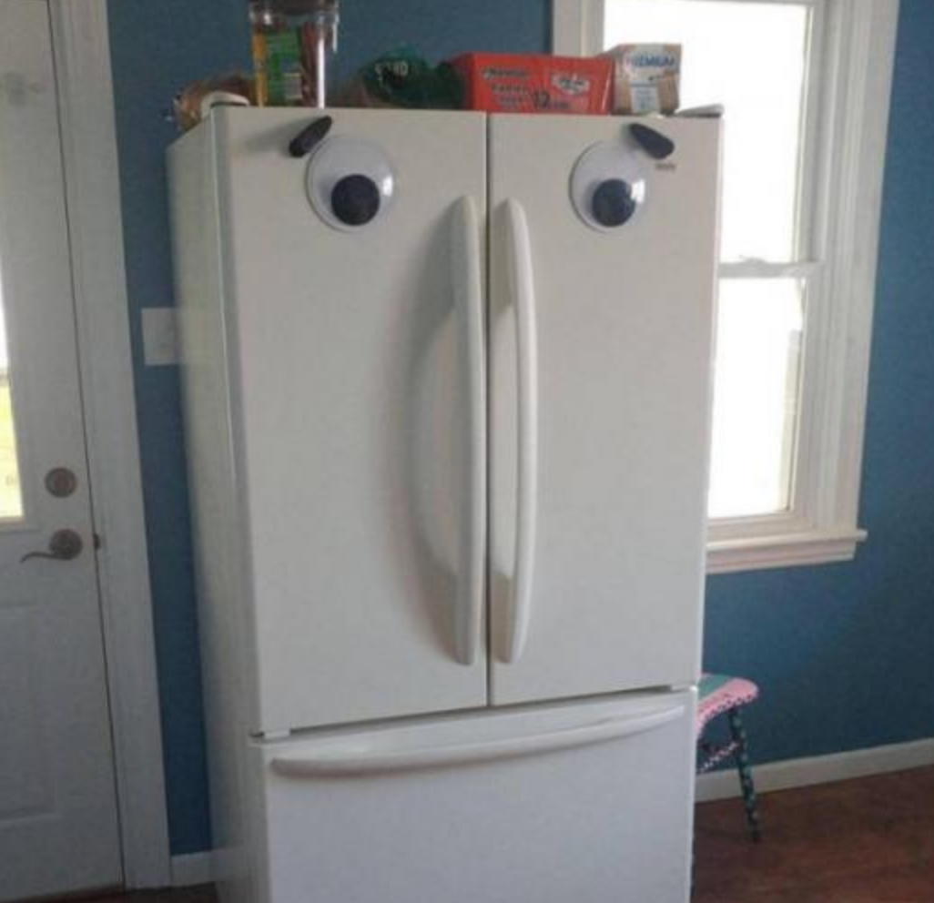 Funny Photos 11-12-2019 #13