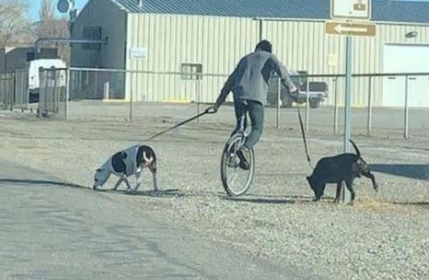 Funny Photos 11-30-2020 #7