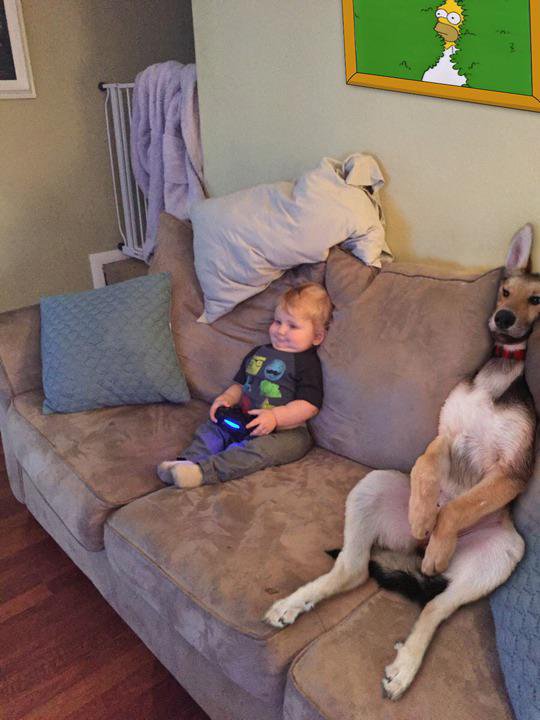 Funny Photos 12-06-2019 #1