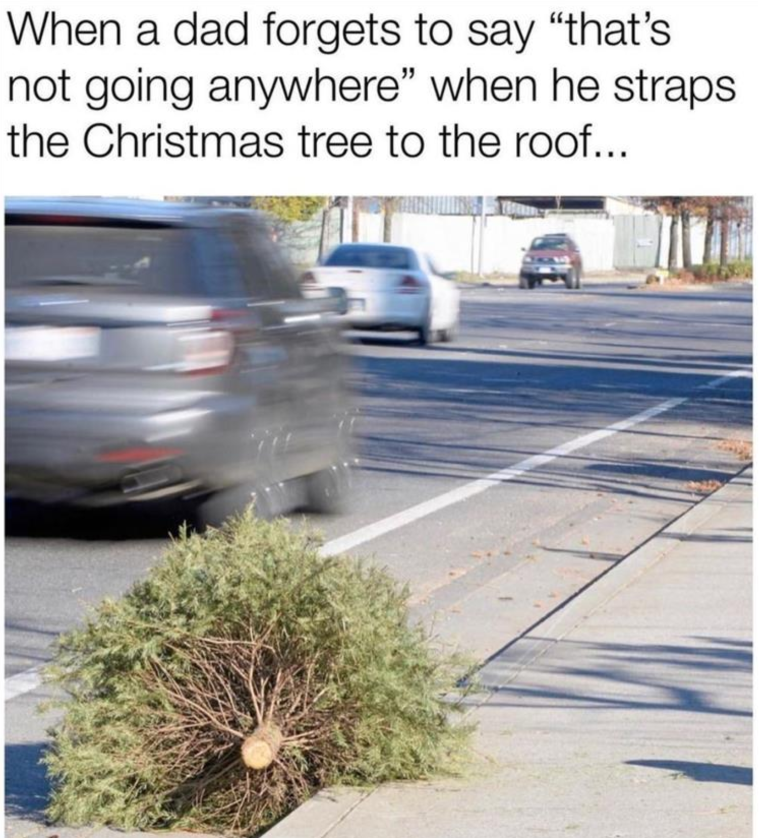 Funny Photos 12-15-2020 #12