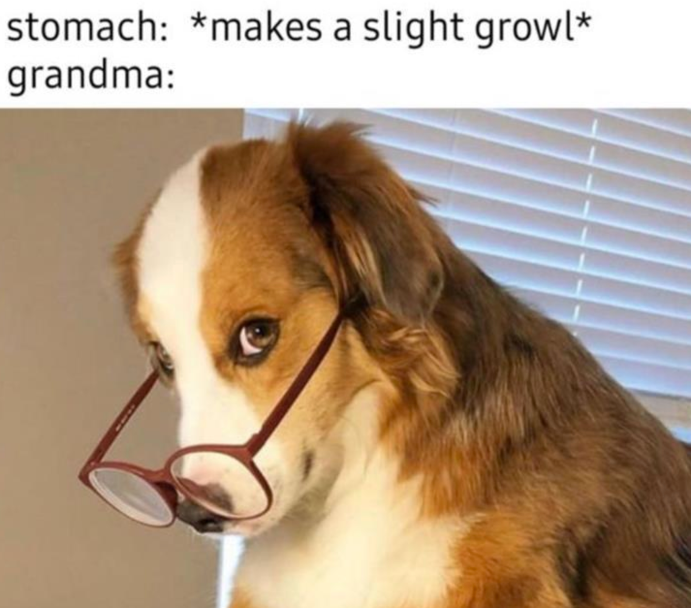 Funny Photos 12-16-2021 #17