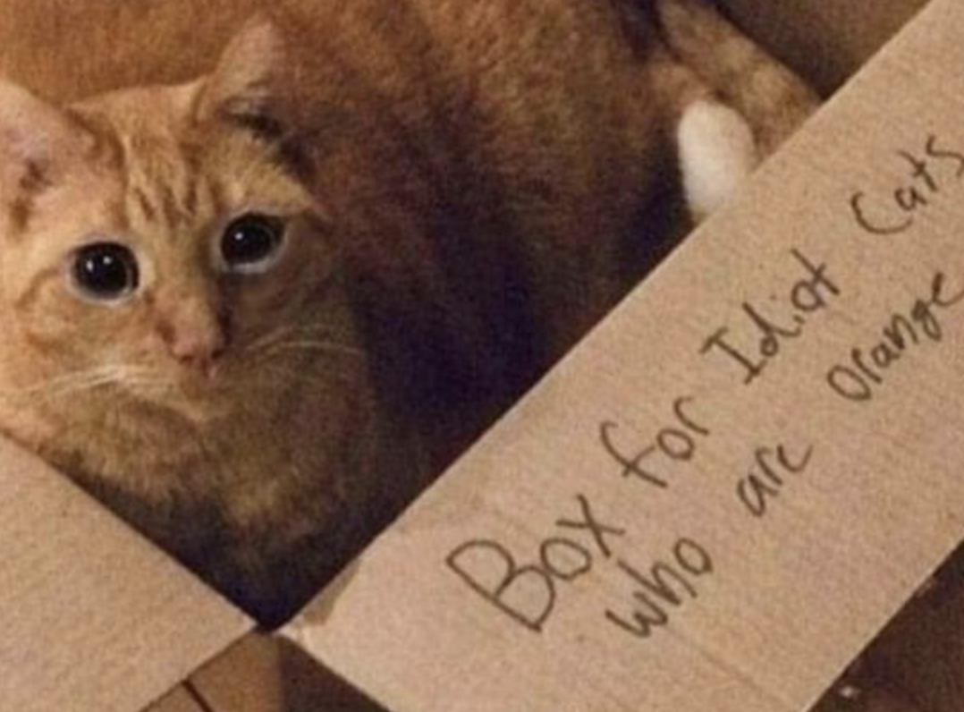 Funny Photos 12-31-2019 #14