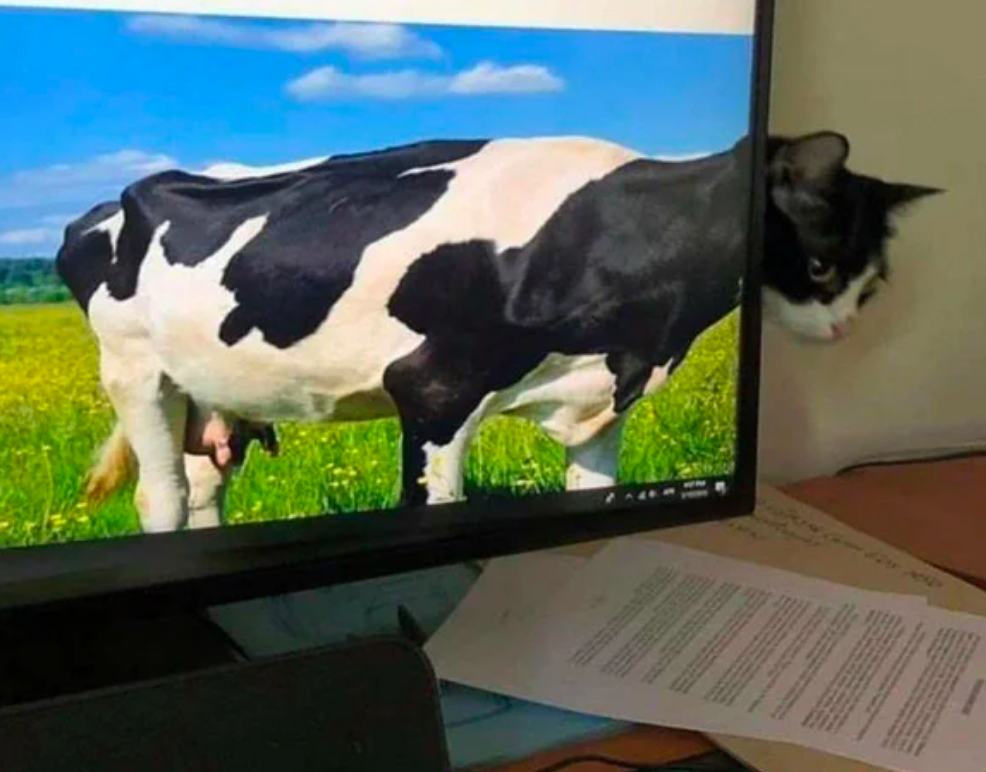Funny Photos 9-20-2019 #2
