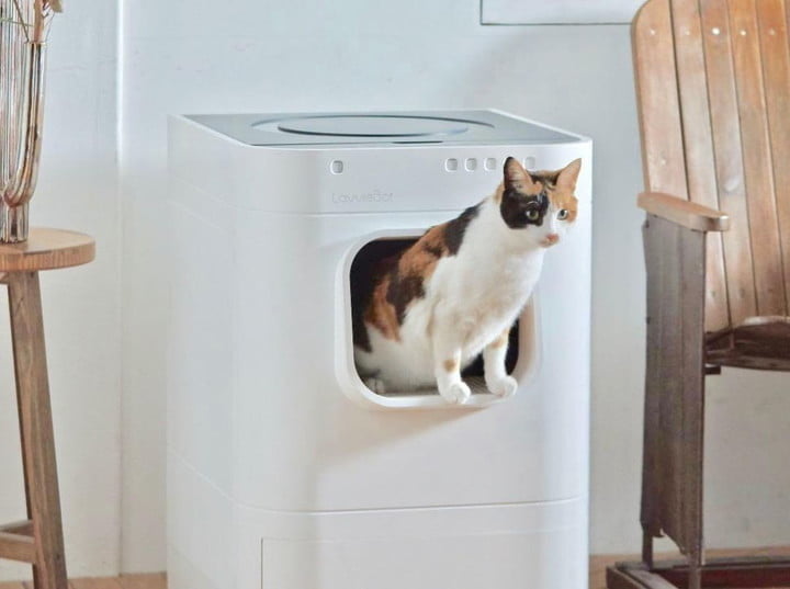Lavviebot