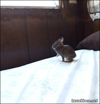 Hop To It