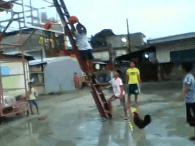 Cock A Doodle Dunk