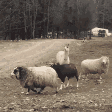 Wait For It...