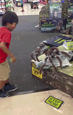 Eight-Legged Freakout