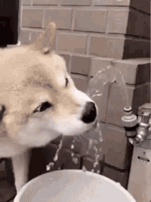 Thirst Quenched
