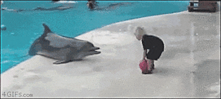 Ballphin