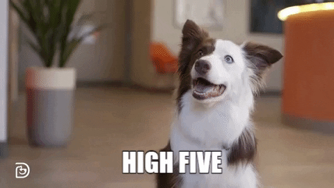 GIFs of the Week 01-13-2021 #7