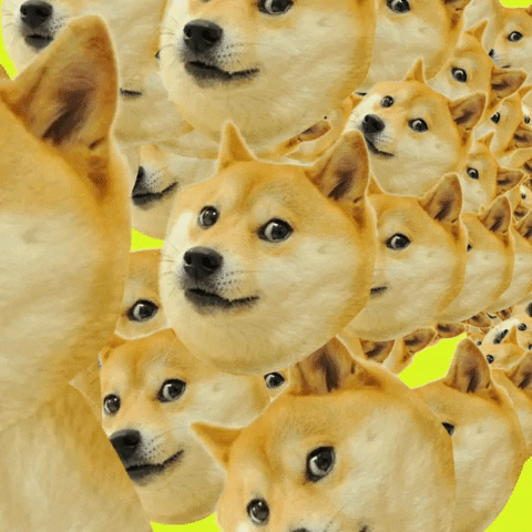GIFs of the Week 03-31-2021 #14