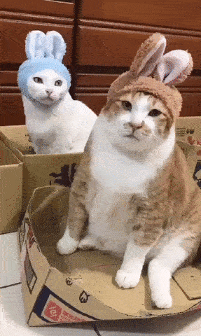 GIFs of the Week 04-07-2021 #7