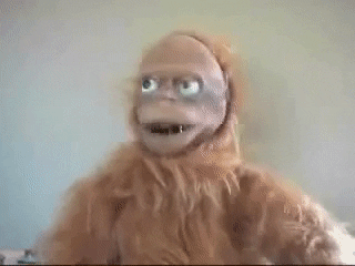 GIFs of the Week 06-01-2022 #13