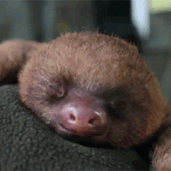 GIFs of the Week 06-15-2022 #1