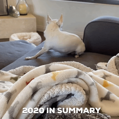 GIFs of the Week 07-01-2020 #9