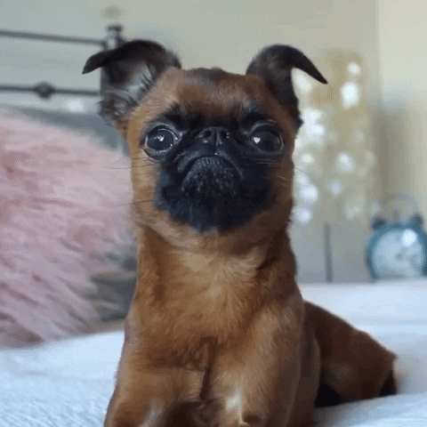 GIFs of the Week 07-15-2020 #3