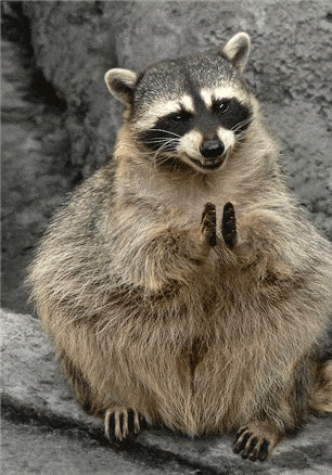 GIFs of the Week 07-28-2021 #11