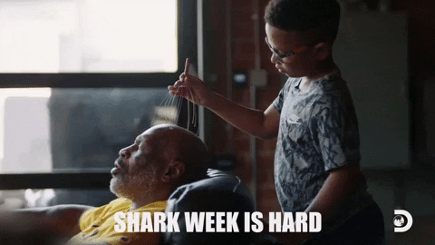 GIFs of the Week 08-12-2020 #10