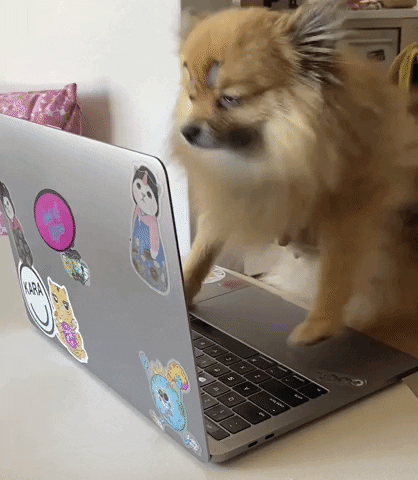 GIFs of the Week 08-12-2020 #13