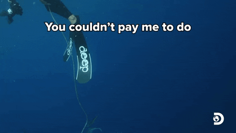 GIFs of the Week 08-19-2020 #2