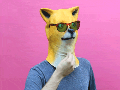 GIFs of the Week 08-19-2020 #14