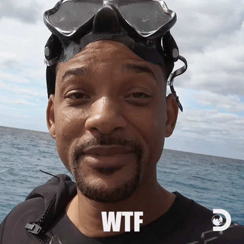 GIFs of the Week 08-19-2020 #7