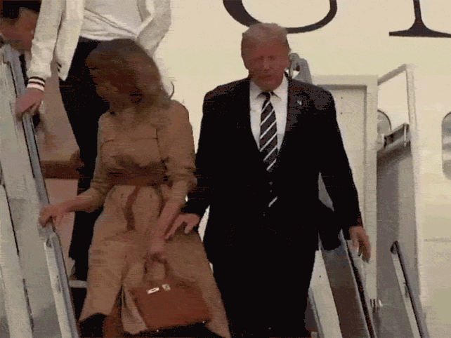 GIFs of the Week 08-19-2020 #12