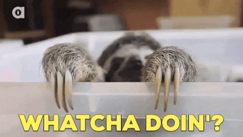 GIFs of the Week 08-26-2020 #12
