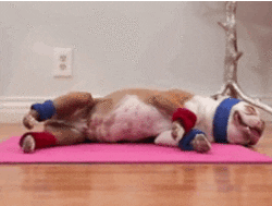 GIFs of the Week 09-30-2020 #7
