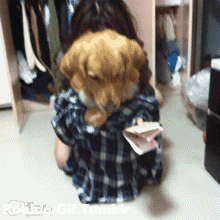 GIFs of the Week 10-16-2019 #3