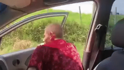 GIFs of the Week 10-16-2019 #15