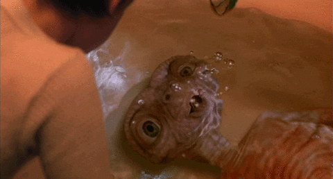The Drowning of the Friendly Alien