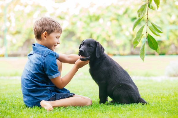 HotNewBreak Good News: 8-Year-Old Boy Sells Pokemon Collection to Pay Sick Puppy’s Vet Bills, Someone Help This Kid Dammit!