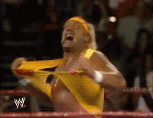Hulk Hogan Gifs #2